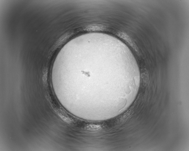 X0000067870159200605041816