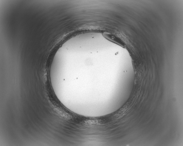 X0000067870160200605041816