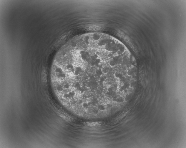 X0000067870161200605041816