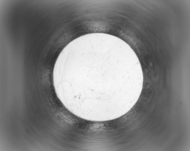 X0000067870162200605041816