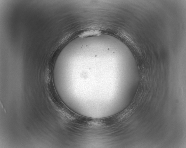 X0000067870164200605041816