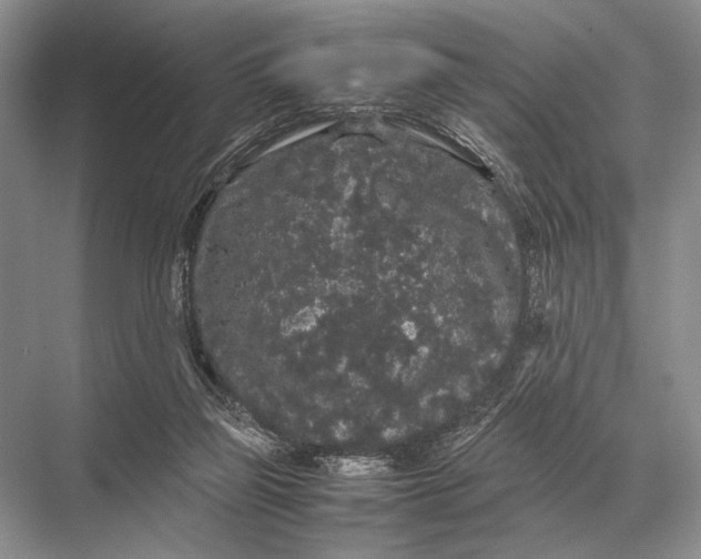 X0000067870165200605041816