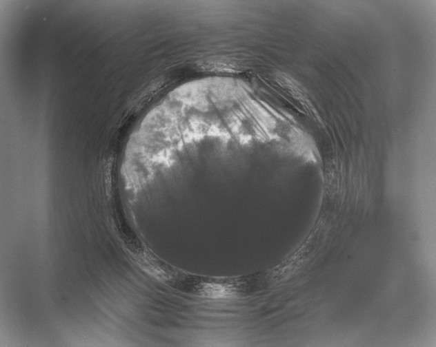 X0000067870167200605041816