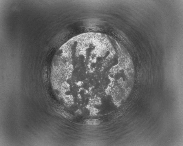 X0000067870169200605041816