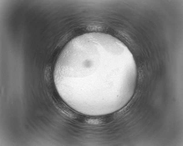 X0000067870171200605041816