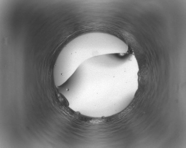 X0000067870172200605041816