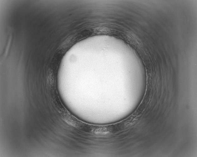 X0000067870173200605041816