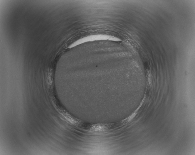 X0000067870174200605041816