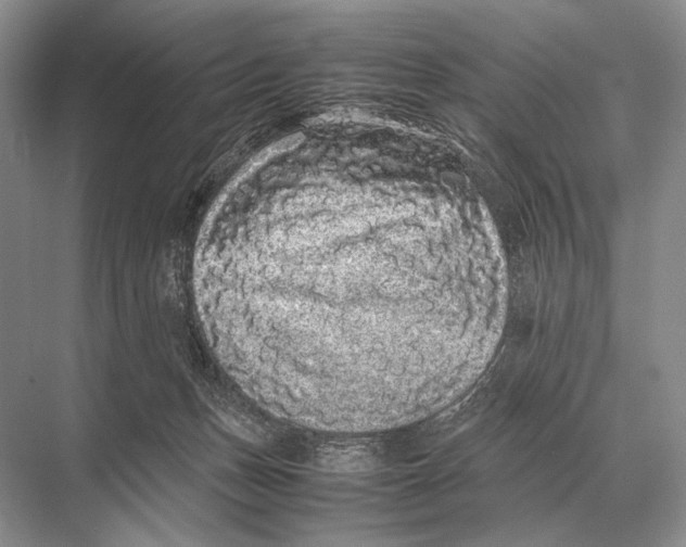 X0000067870175200605041816