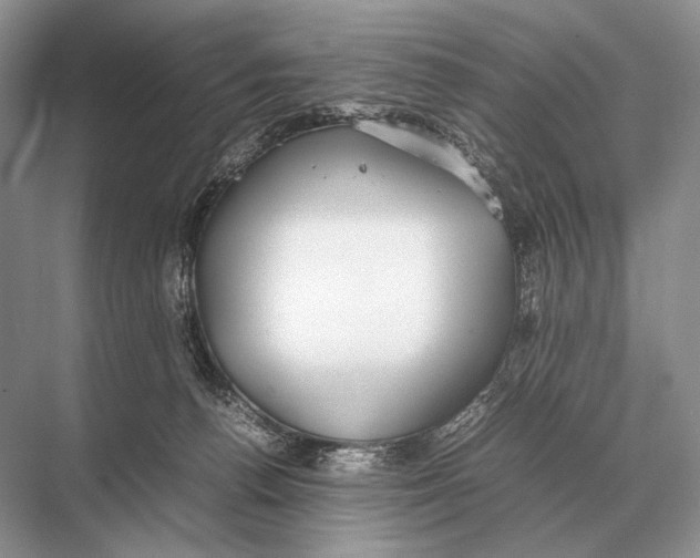 X0000067870176200605041816