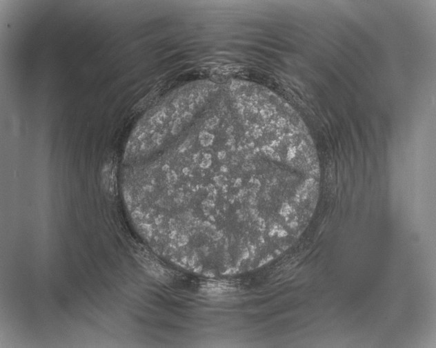 X0000067870177200605041816