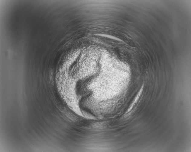 X0000067870178200605041816