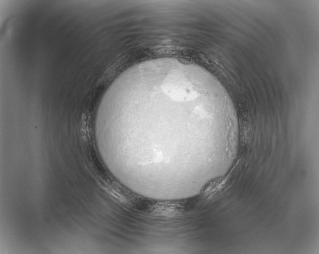 X0000067870179200605041816