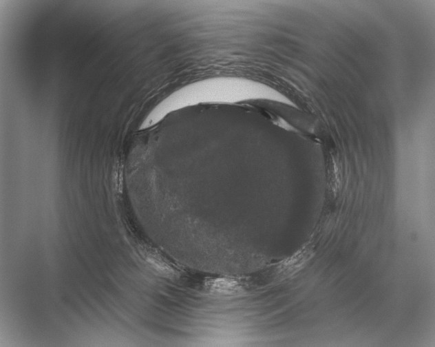 X0000067870180200605041816