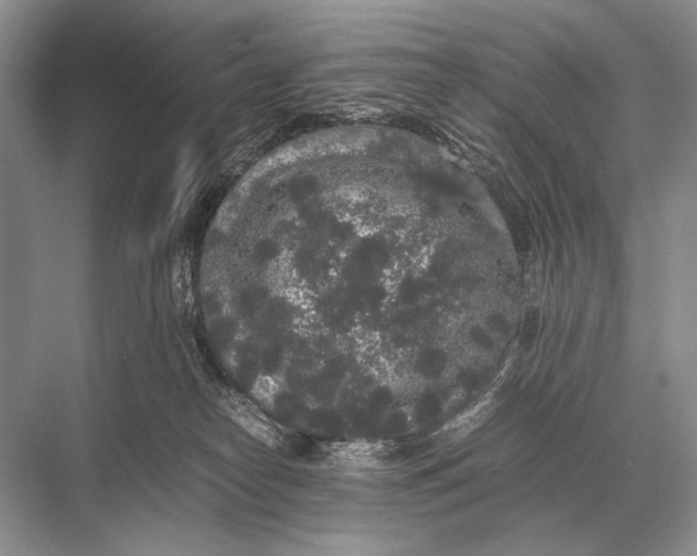 X0000067870182200605041817