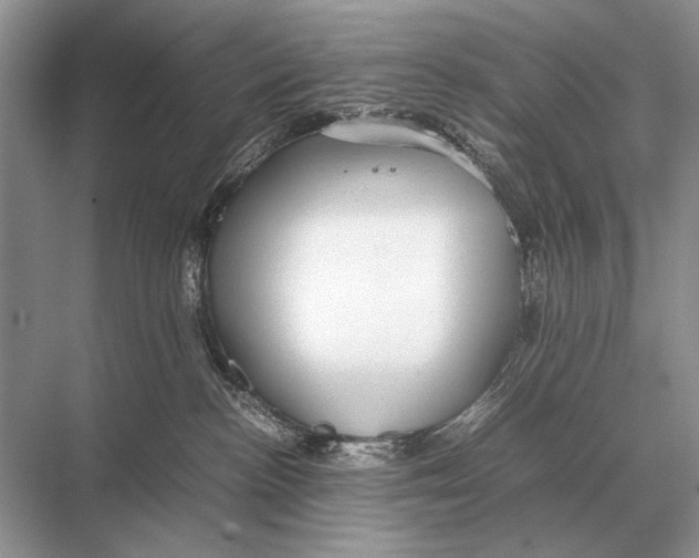 X0000067870188200605041817