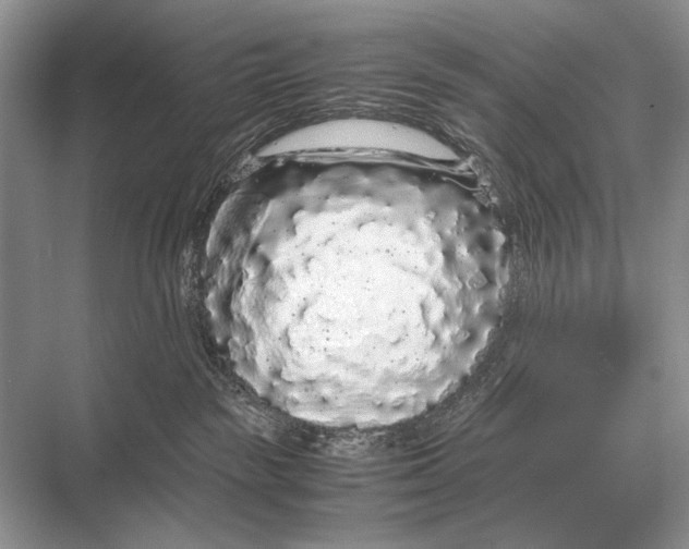 X0000067870189200605041817