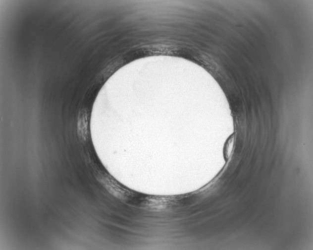 X0000067870190200605041817