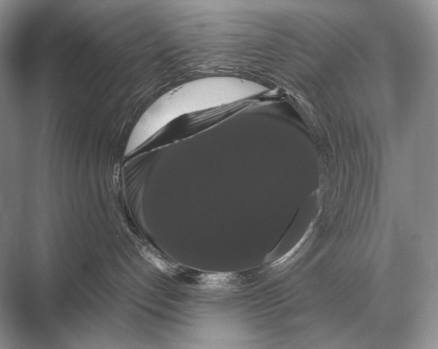 X0000067870192200605041817