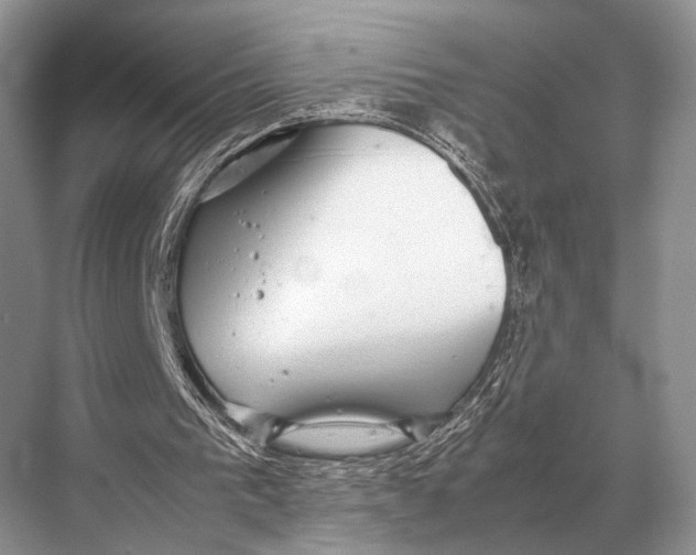 X0000067870193200605041816