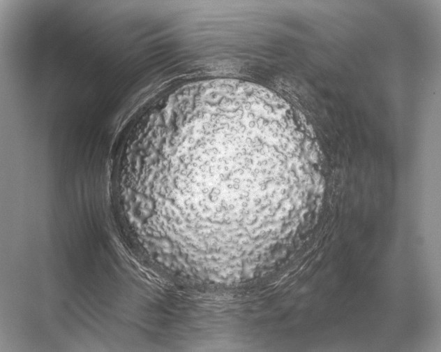 X0000067870194200605041816