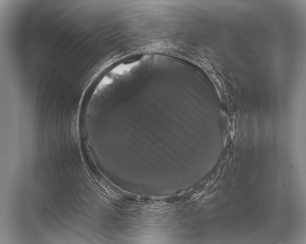 X0000067870196200605041816