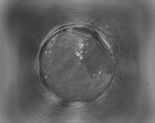 X0000067870198200605041816