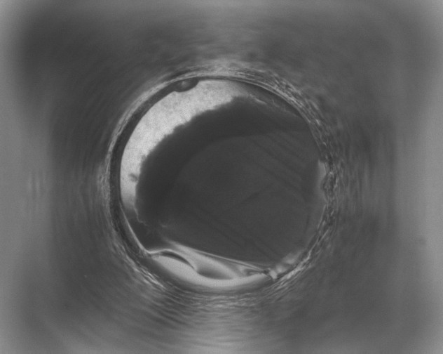 X0000067870200200605041816