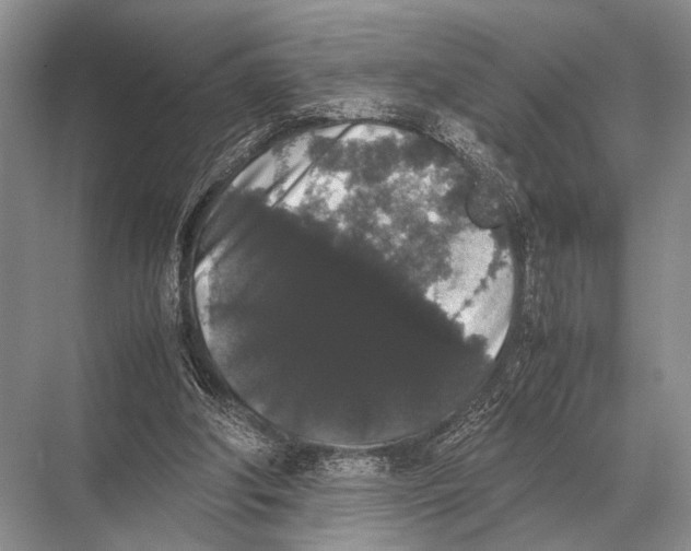 X0000067870202200605041816