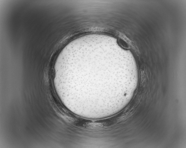 X0000067870203200605041816