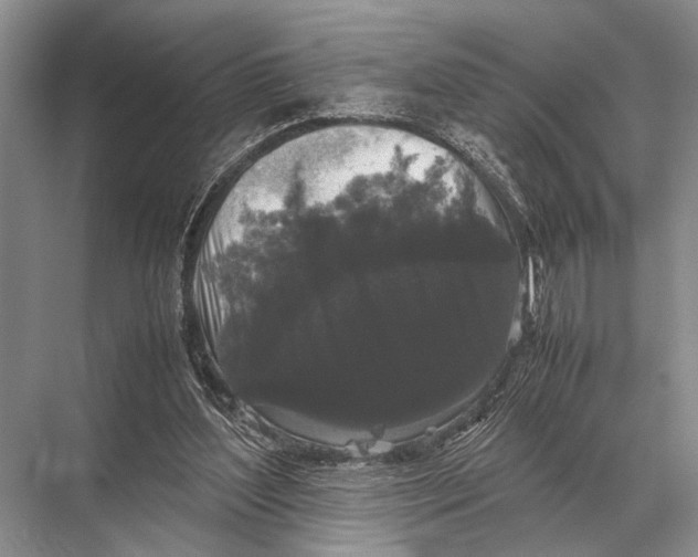 X0000067870204200605041816