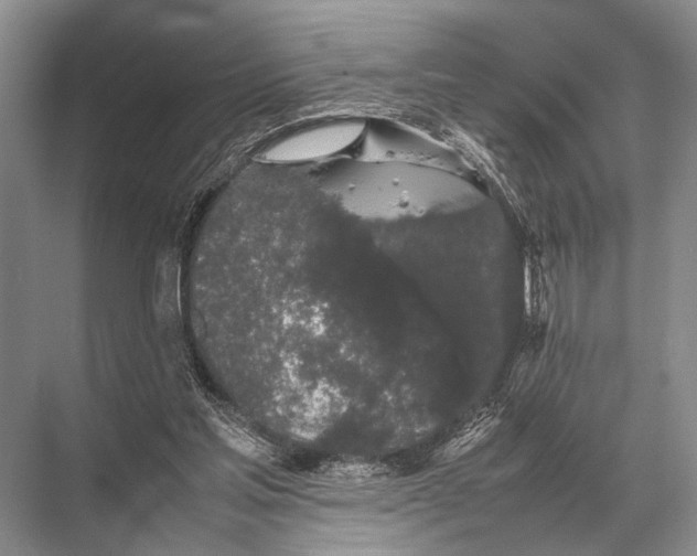 X0000067870205200605041816