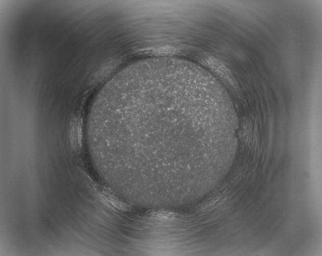 X0000067870206200605041816