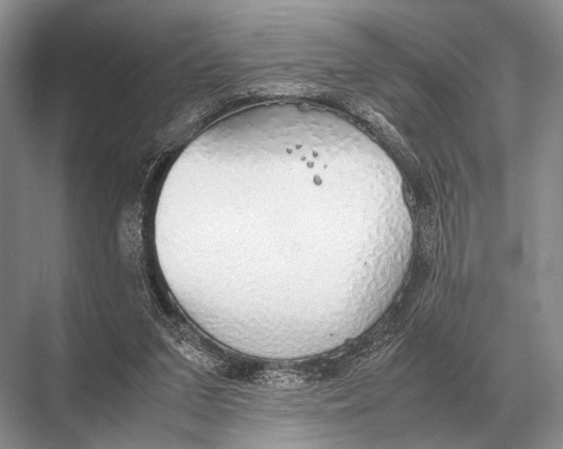 X0000067870207200605041816