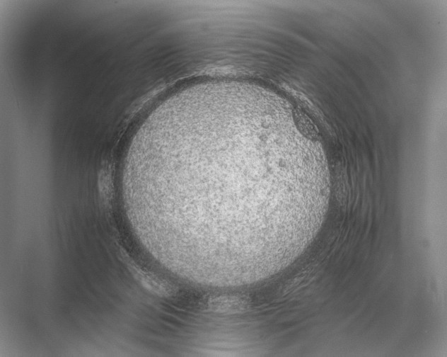 X0000067870208200605041816