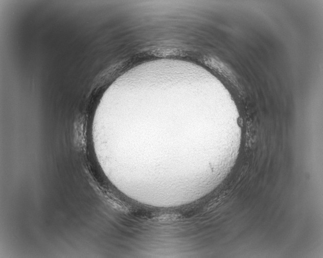 X0000067870210200605041816