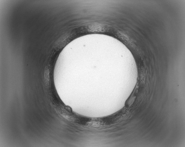 X0000067870211200605041816