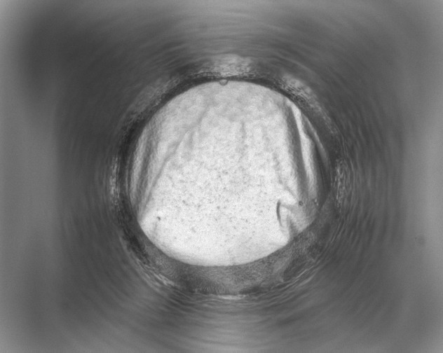 X0000067870212200605041816