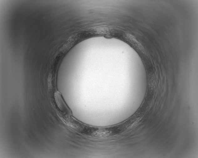 X0000067870213200605041816