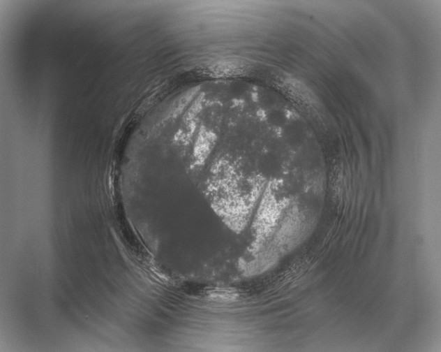 X0000067870214200605041816