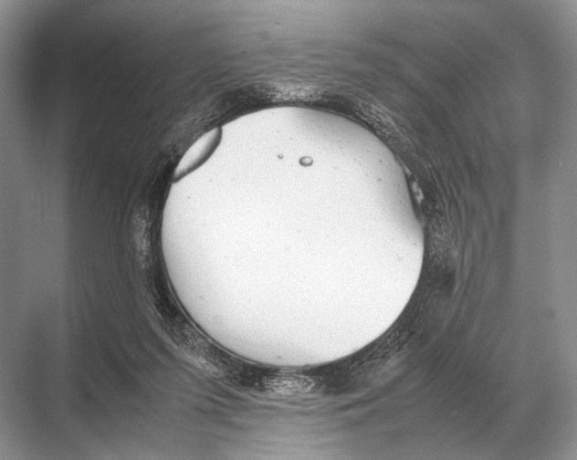 X0000067870215200605041816