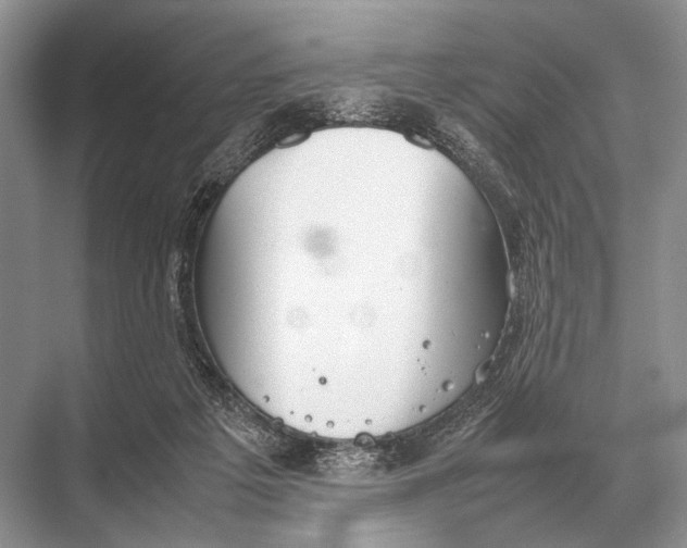 X0000067870217200605041815