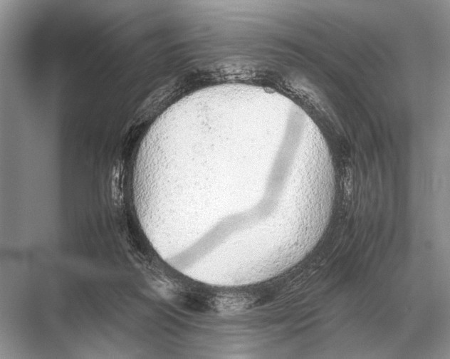 X0000067870218200605041815