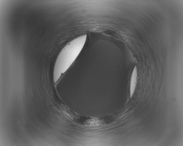 X0000067870219200605041815