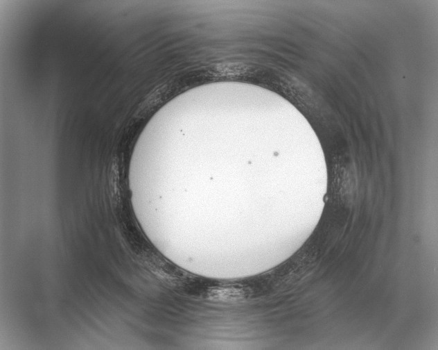 X0000067870220200605041815