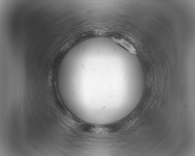 X0000067870221200605041815