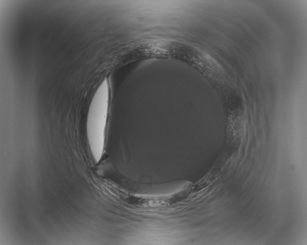 X0000067870223200605041815