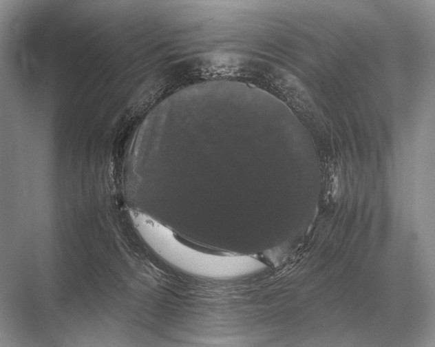 X0000067870224200605041815