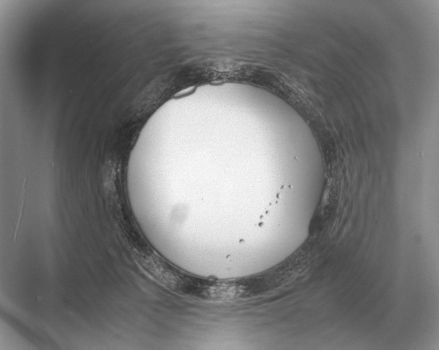 X0000067870225200605041815