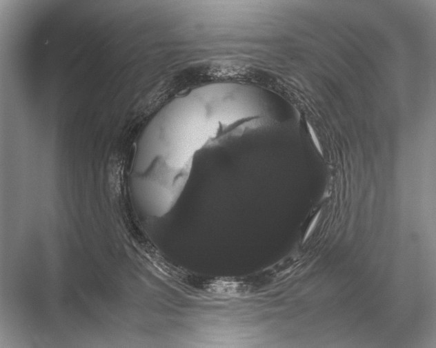 X0000067870227200605041815